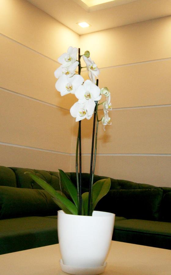 Apartment Jasmine 2 Belgrád Kültér fotó